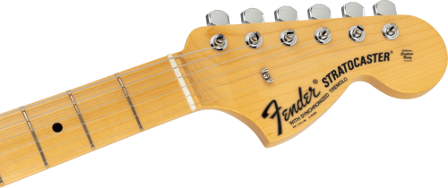 Limited Stratocaster Indigo Paisley6